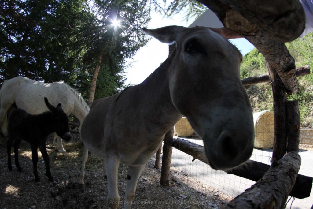 Un weekend di escursioni a cavallo e montagne