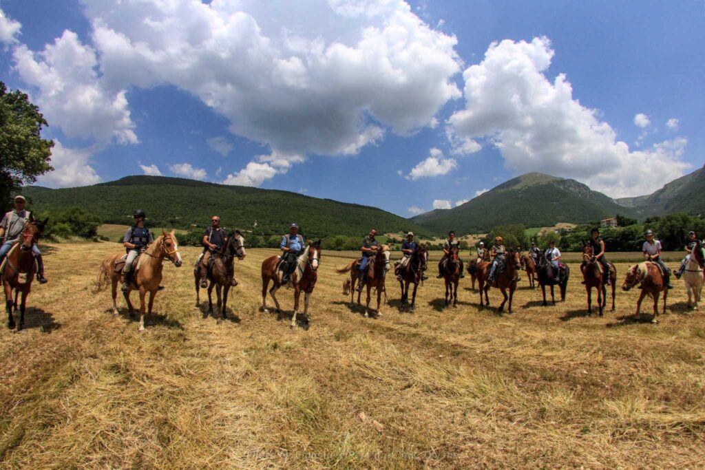 gruppo escursioniacavallo cavalli escursione